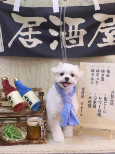 20240629まるちゃん